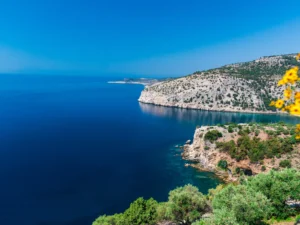 photography basic 01 2